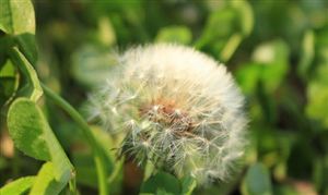 2024年中国餐饮行业的市场发展现状及发展前景分析(图7)