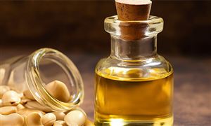 2024年餐饮行业市场发展现状及发展趋势(图4)