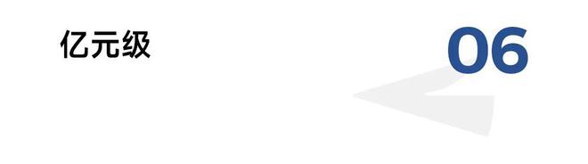 2024中国餐饮饮品100亿、50亿、321单品都有谁？(图7)