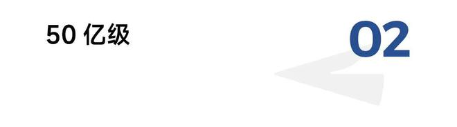 2024中国餐饮饮品100亿、50亿、321单品都有谁？(图4)