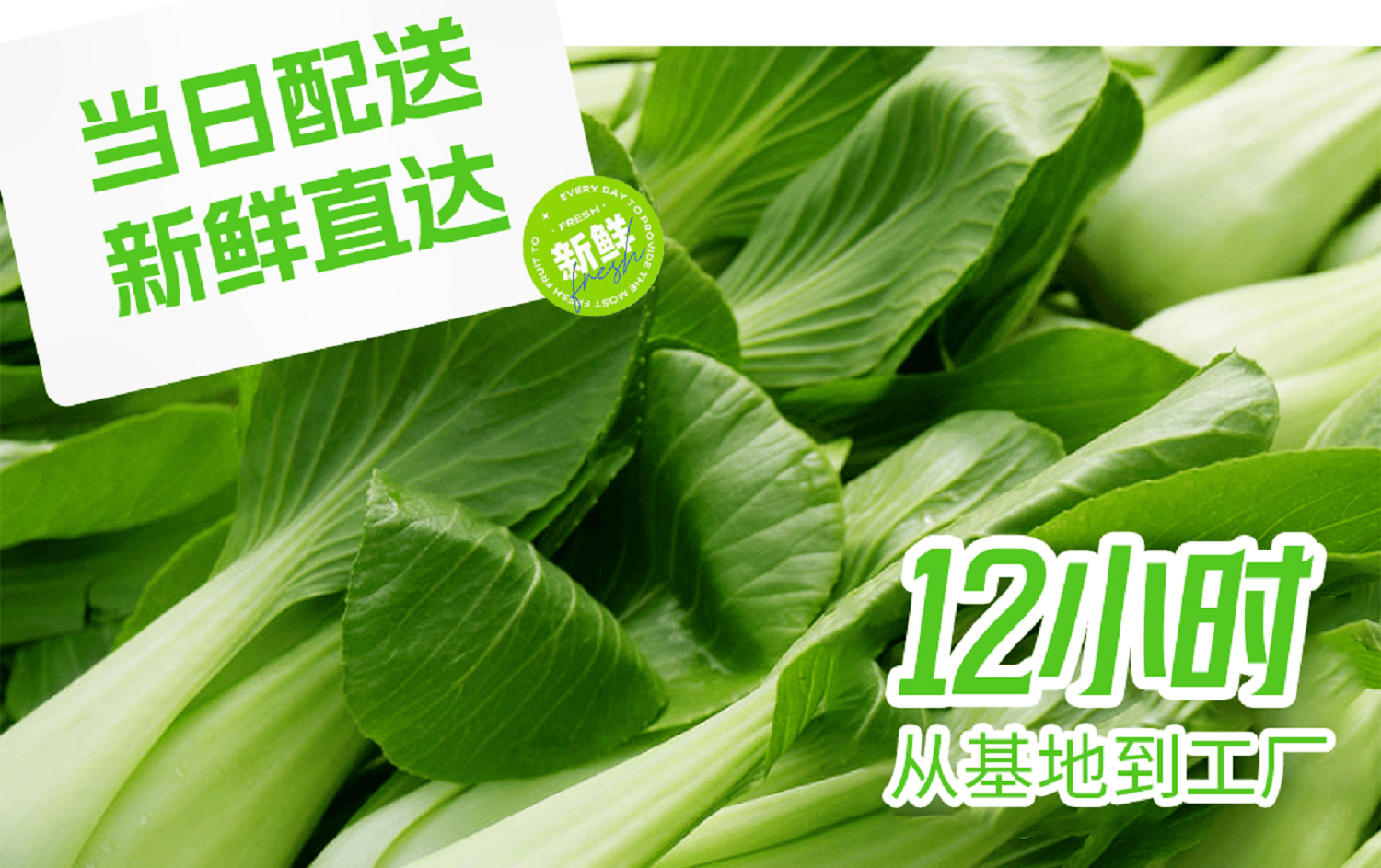 餐饮业大洗牌如何破局？(图5)