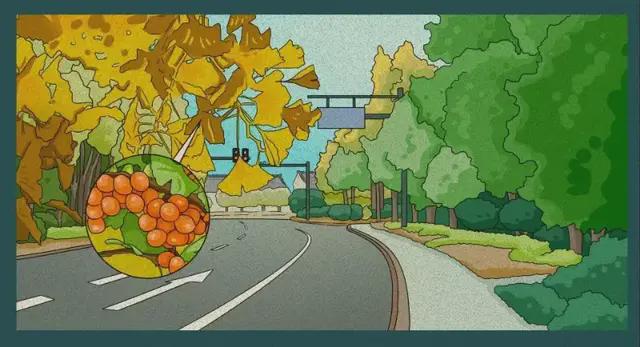 耳朵有折痕预示冠心病？生酮饮食能饿死癌细胞？2024年流言来了(图2)