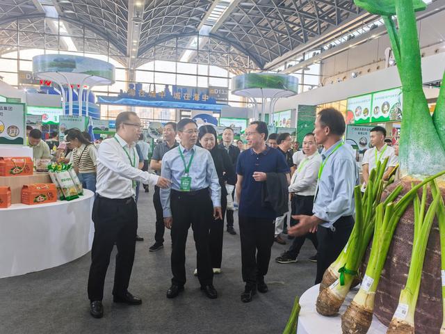 贺州香芋产业亮相2024农博会 品牌化发展助力乡村振兴(图1)