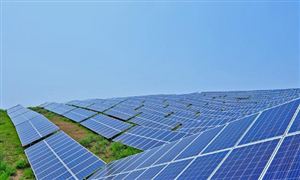 2024高端餐饮行业发展现状及市场规模分析(图2)