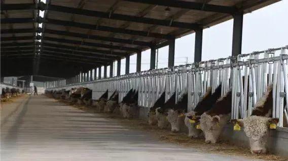 大商机！日照市64个投资机会清单发布！(图13)