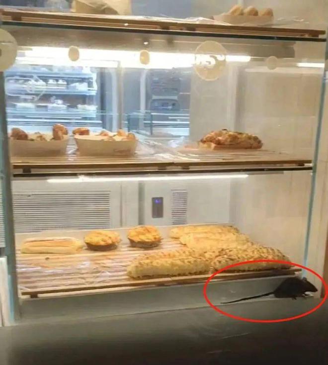 关店、关店、台湾餐饮纷纷败北于大陆(图7)