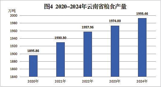 2024年云南省国民经济和社会发展统计公报(图3)