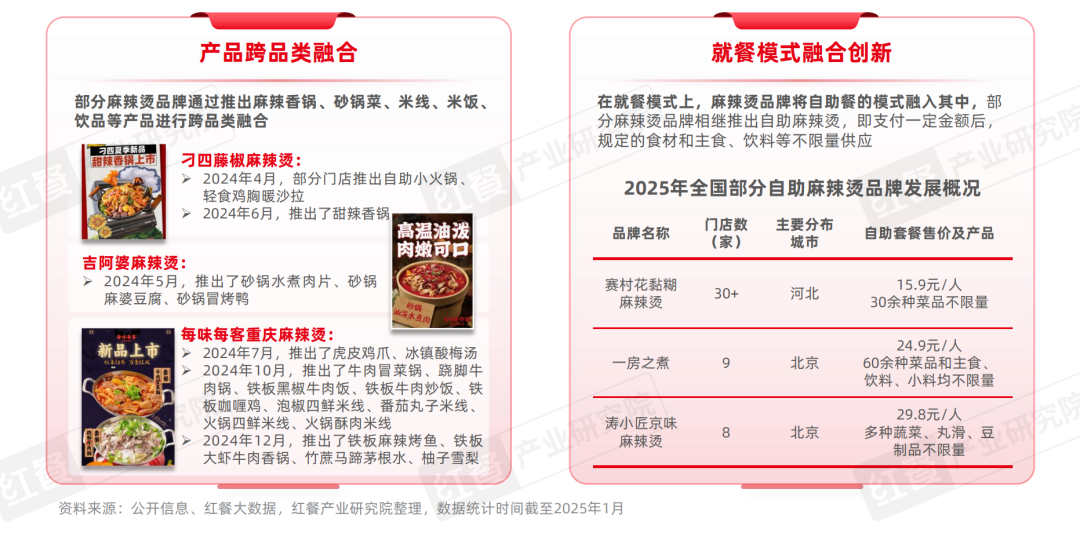 《麻辣烫发展报告2025》发布：麻辣烫在海外成“高端”品类新口味与新模式引领消费潮(图8)