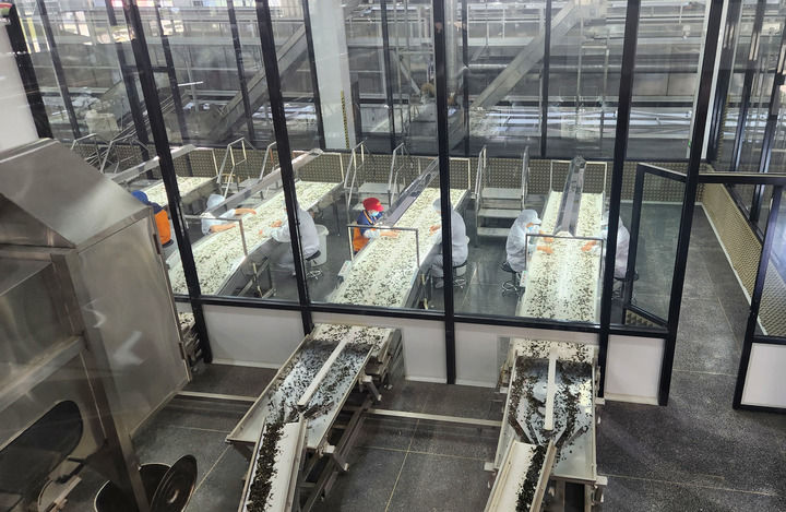 奋勇争先再上台阶——福建爱拼敢赢展现经济韧劲(图5)