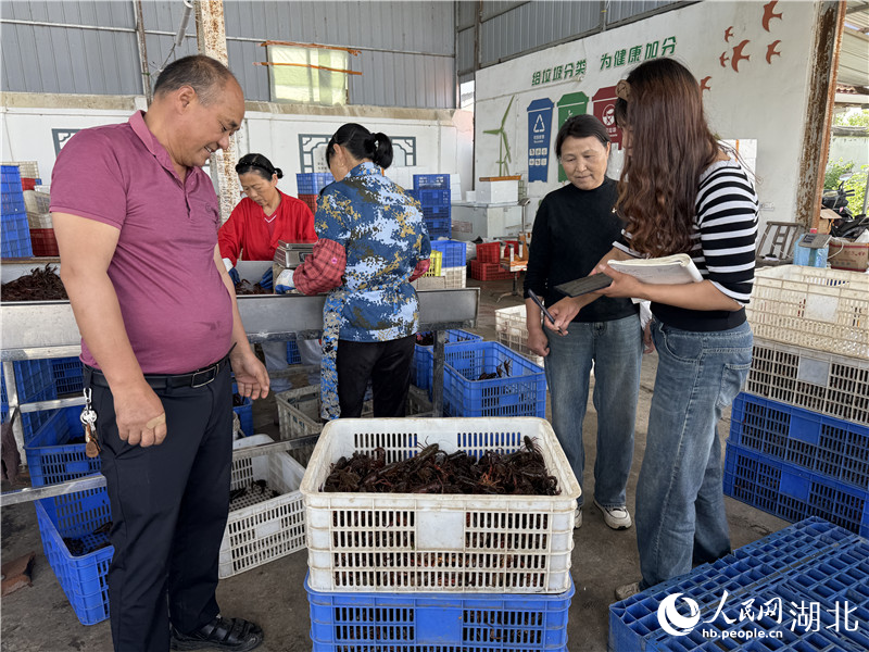 “潜江龙虾”何以“长红”(图3)
