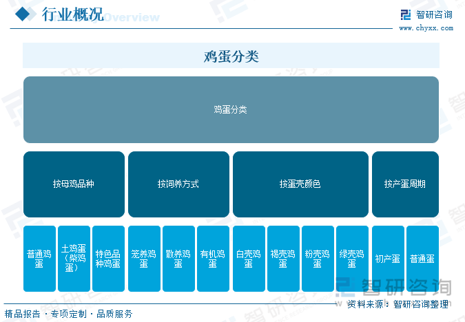 2025年中国鸡蛋行业市场政策、产业链、发展现状、代表性企业分析及发展趋势研判：市场格局高度分散[图](图1)