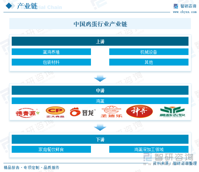 2025年中国鸡蛋行业市场政策、产业链、发展现状、代表性企业分析及发展趋势研判：市场格局高度分散[图](图3)