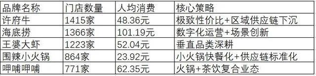 2025火锅行业现状与发展分析报告(图6)
