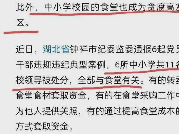 中学领导偷吃350万学生餐校园贪腐怎么成了“月经新闻”？(图3)