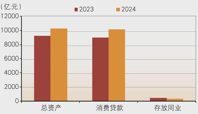 消费金融公司2024年发展如何？