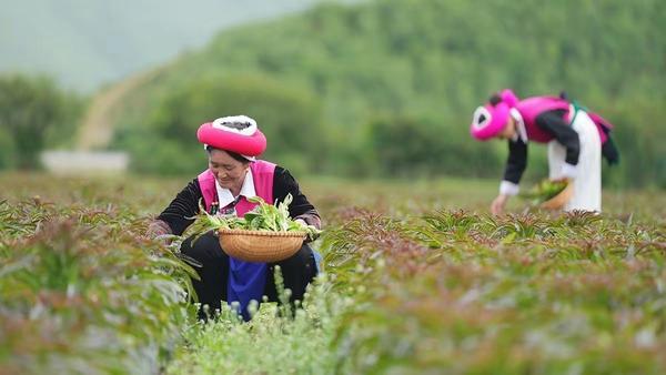 人均138元仍排队超2小时巴奴如何打破餐饮消费降级魔咒？(图3)
