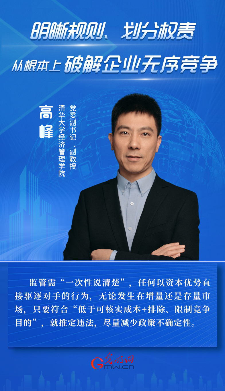 高峰：明晰规则、划分权责 从根本上破解企业无序竞争