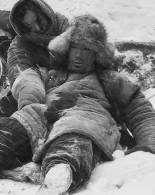 《归队》小白马兰花儿双双牺牲！剧中3对伴侣最爱的一对没了！(图3)