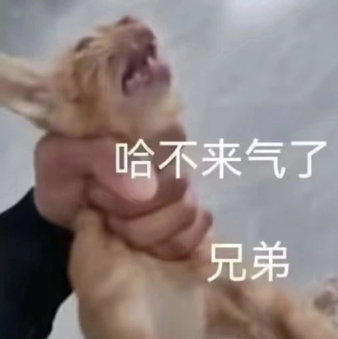 给日本人提供不打码影片的大罪人监狱都被民间礼物塞满了…(图11)