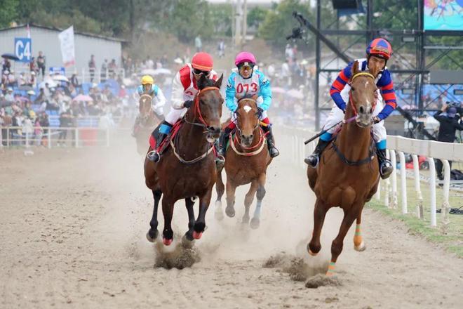 大理市加快户外运动产业发展(图4)