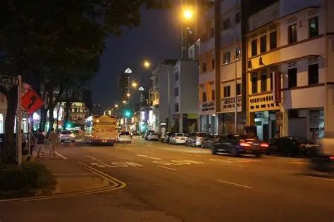 这栋房子开价1480万新币！(图2)