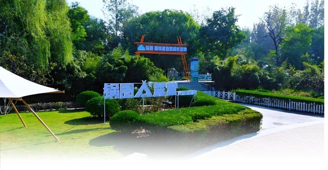 锅圈业绩狂飙背后两大新动作解锁增长新路径(图5)