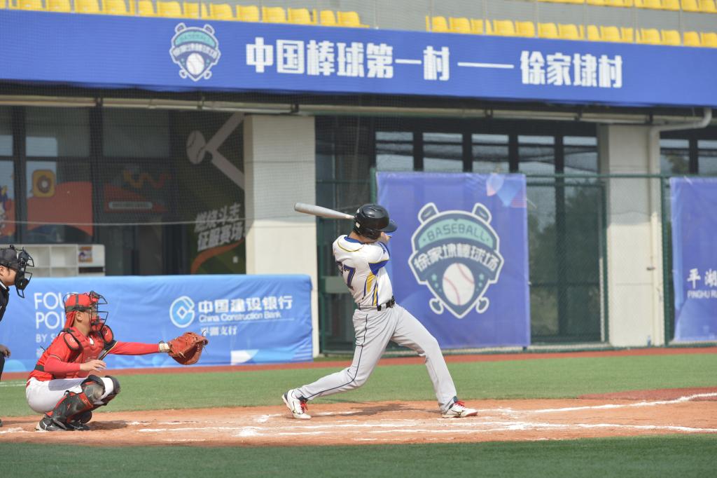 四中全会精神在基层丨建起棒球场组团种花卉——浙江嘉兴村庄走出抱团发展共富路