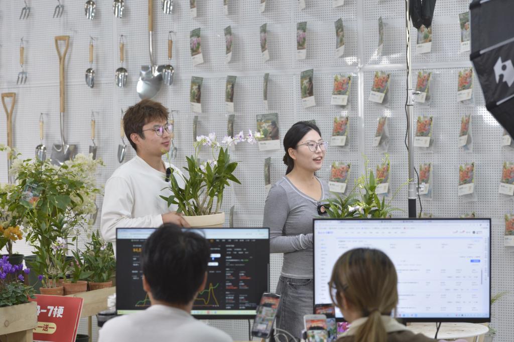 四中全会精神在基层丨建起棒球场组团种花卉——浙江嘉兴村庄走出抱团发展共富路(图2)