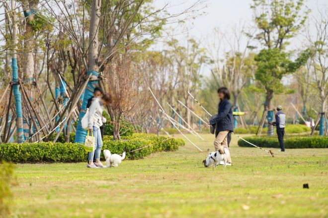 十一月百度热搜 @象屿天誉蘭香官方售楼处电话：顶奢生活之选(图16)