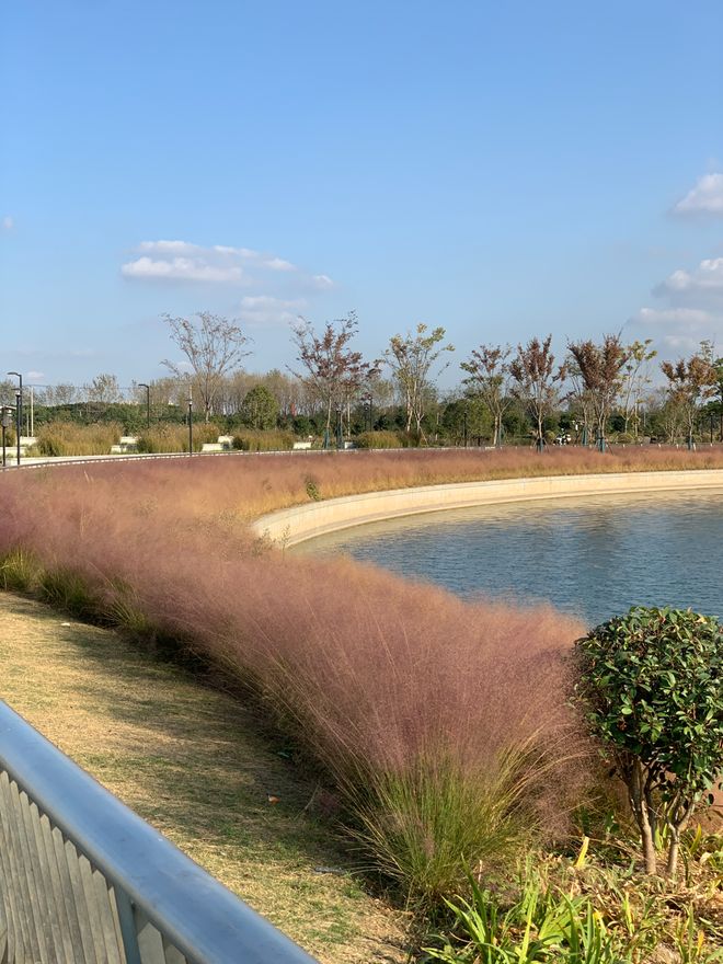 十一月百度热搜 @象屿天誉蘭香官方售楼处电话：顶奢生活之选(图30)