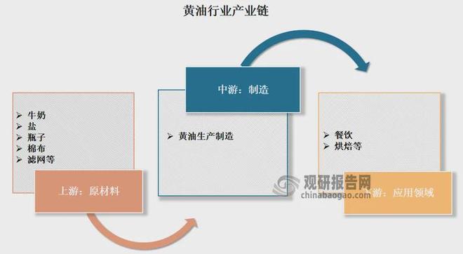 中国黄油行业发展趋势分析与未来投资预测报告（2025-2032年）(图2)