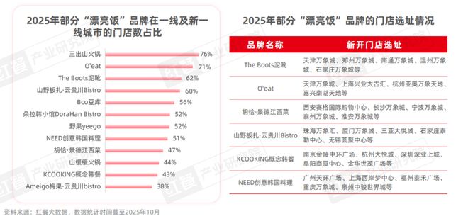 《餐饮行业“漂亮饭”研究报告2025》：漂亮饭风潮来袭情绪消费成新风口？(图12)
