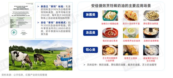 《餐饮行业“漂亮饭”研究报告2025》：漂亮饭风潮来袭情绪消费成新风口？(图10)