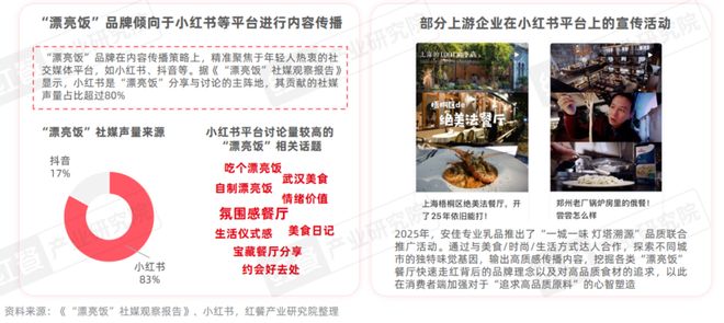 《餐饮行业“漂亮饭”研究报告2025》：漂亮饭风潮来袭情绪消费成新风口？(图14)