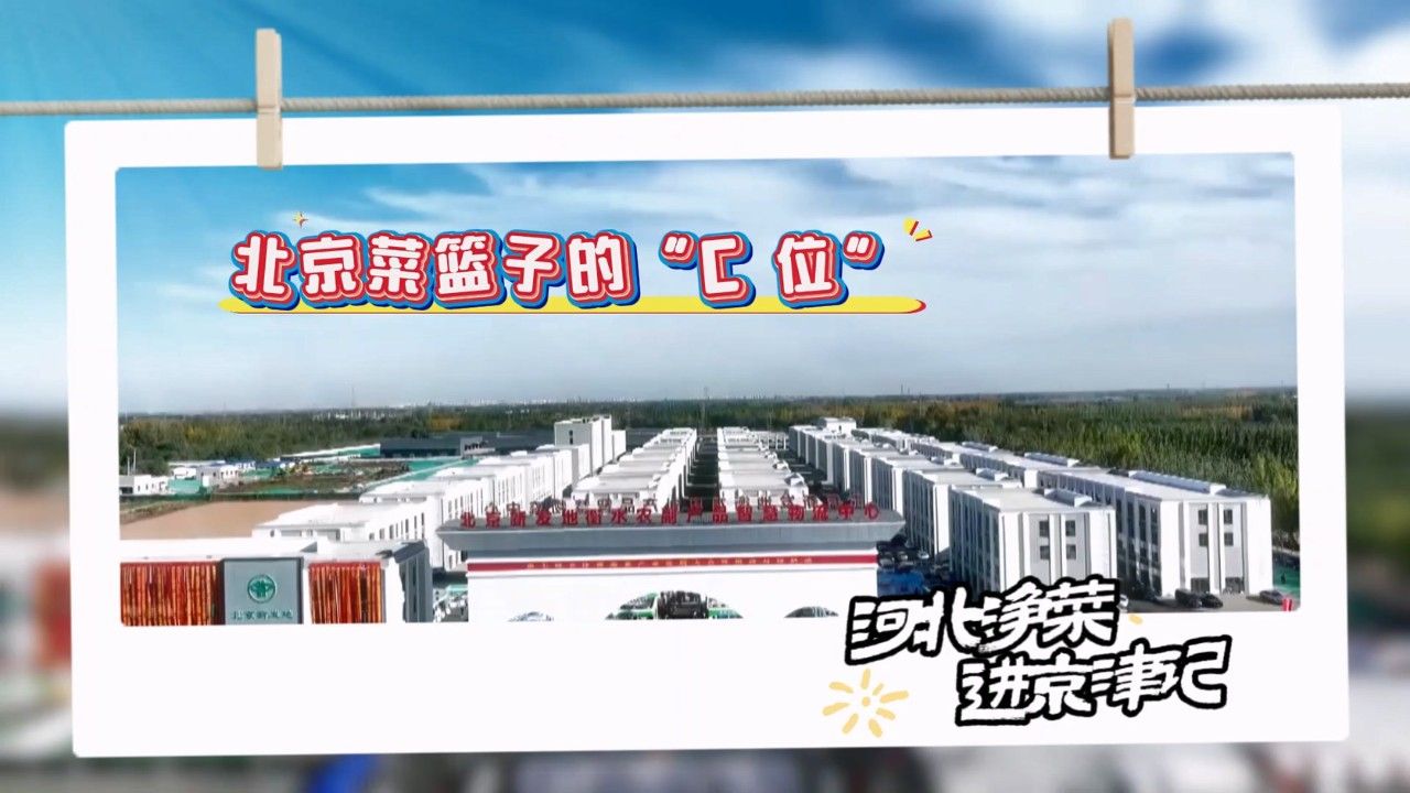 【经济新观察】巡礼“十四五”·协调——冀望京津：“一人 一菜 一家人”的河北故事