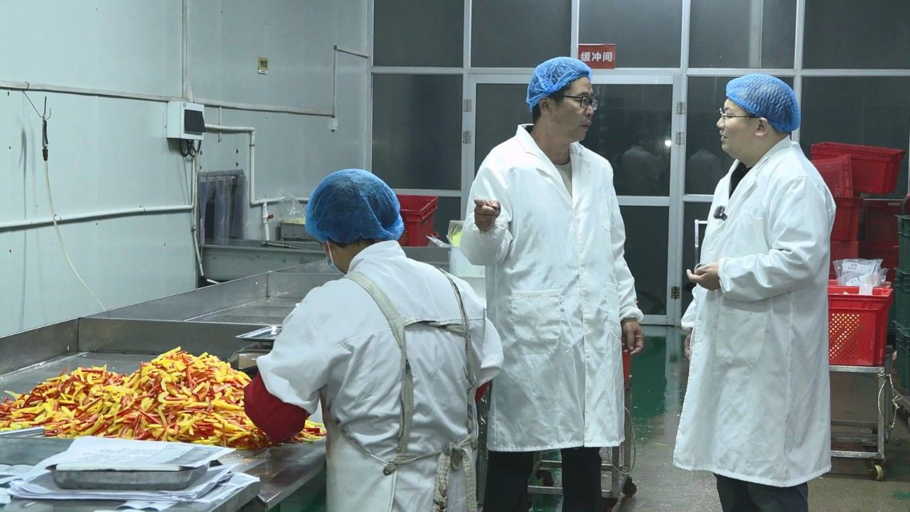 【经济新观察】巡礼“十四五”·协调——冀望京津：“一人 一菜 一家人”的河北故事(图3)