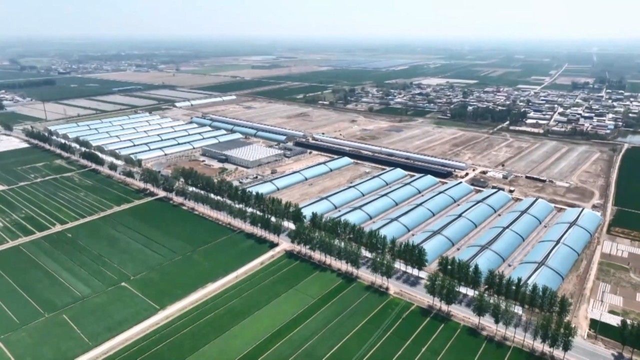 【经济新观察】巡礼“十四五”·协调——冀望京津：“一人 一菜 一家人”的河北故事(图15)