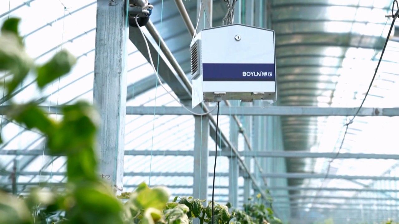 【经济新观察】巡礼“十四五”·协调——冀望京津：“一人 一菜 一家人”的河北故事(图18)