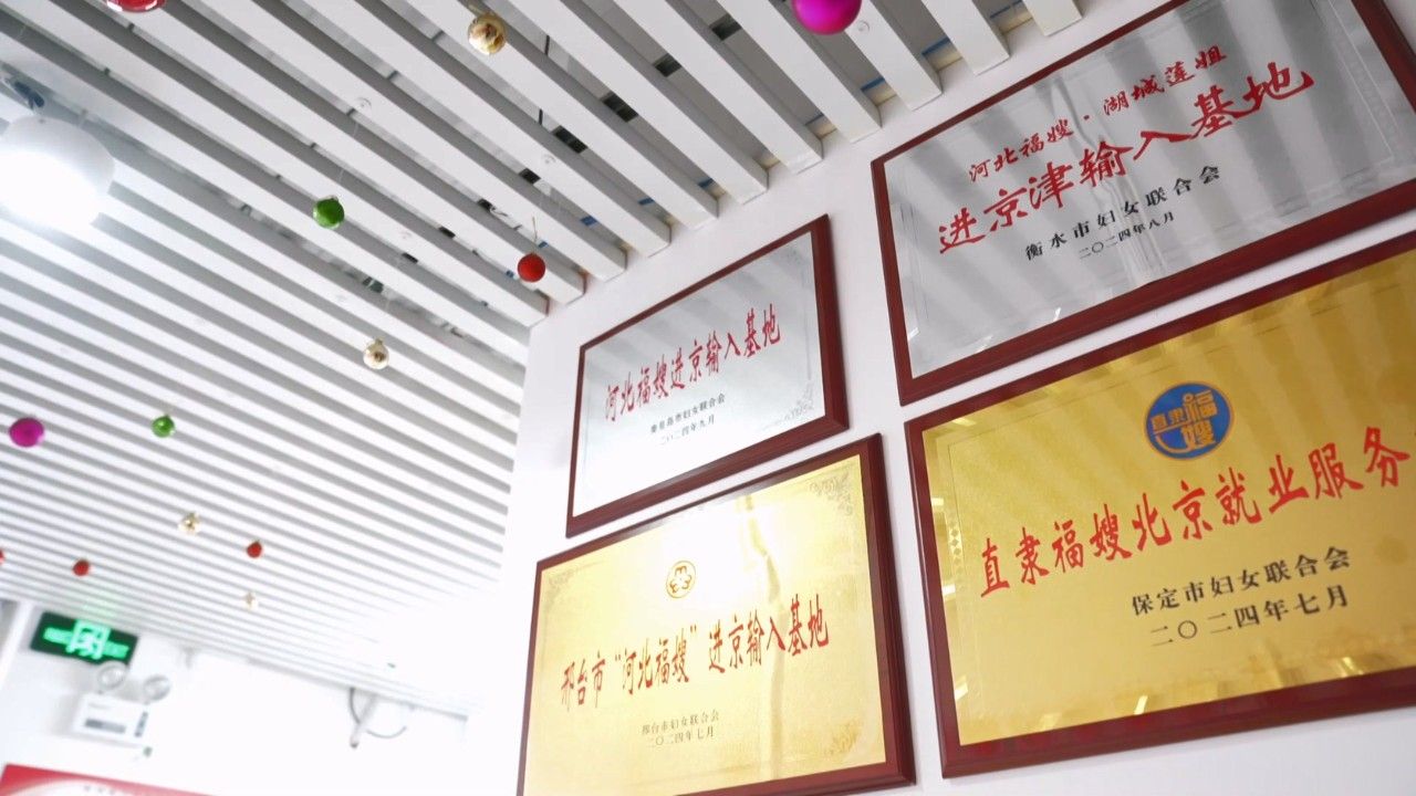 【经济新观察】巡礼“十四五”·协调——冀望京津：“一人 一菜 一家人”的河北故事(图26)