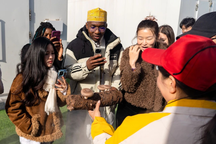 江苏徐州：古今交融、产业探源国际留学生邂逅“经开6小时”(图1)