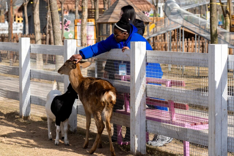 江苏徐州：古今交融、产业探源国际留学生邂逅“经开6小时”(图2)