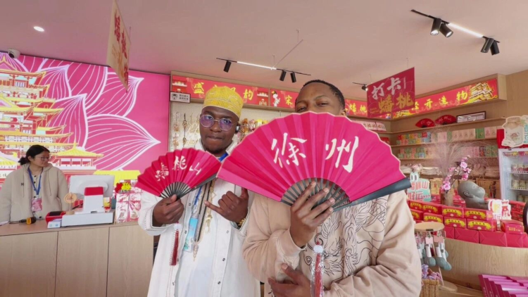 江苏徐州：古今交融、产业探源国际留学生邂逅“经开6小时”(图3)