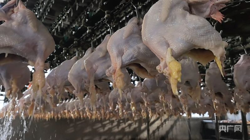 【你好小镇】河南道口：古埠流芳(图4)