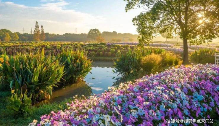 国印东方-上海金山国印东方售楼中心 () -楼盘评测-地铁通勤-户型-价格‖(图23)