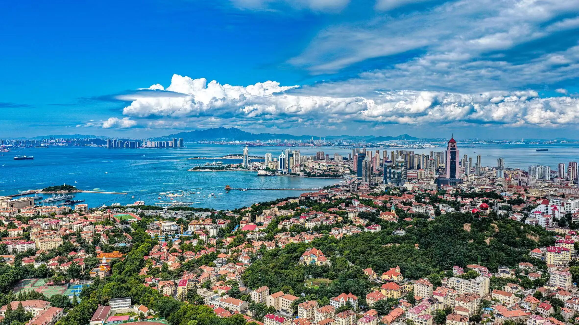 青岛市南：向“新”而行图强率先(图1)