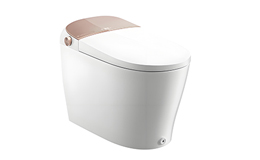 中欧纯债债券(LOF)E(图1)