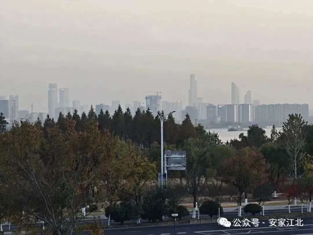 官方刚刚回复：即将上围挡！4号线二期“关键卡点”被清除(图7)