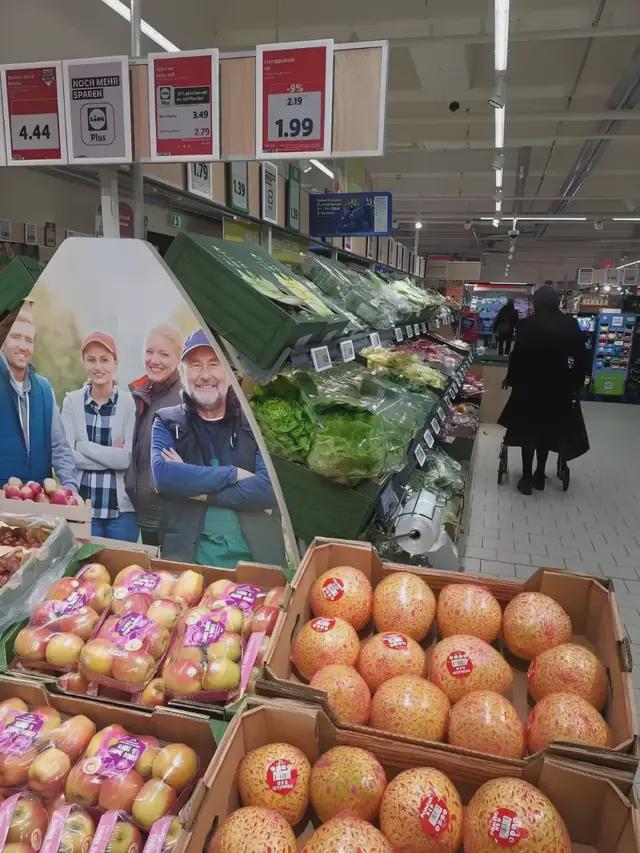 奥乐齐之后又一德国零售巨头落子中国(图2)