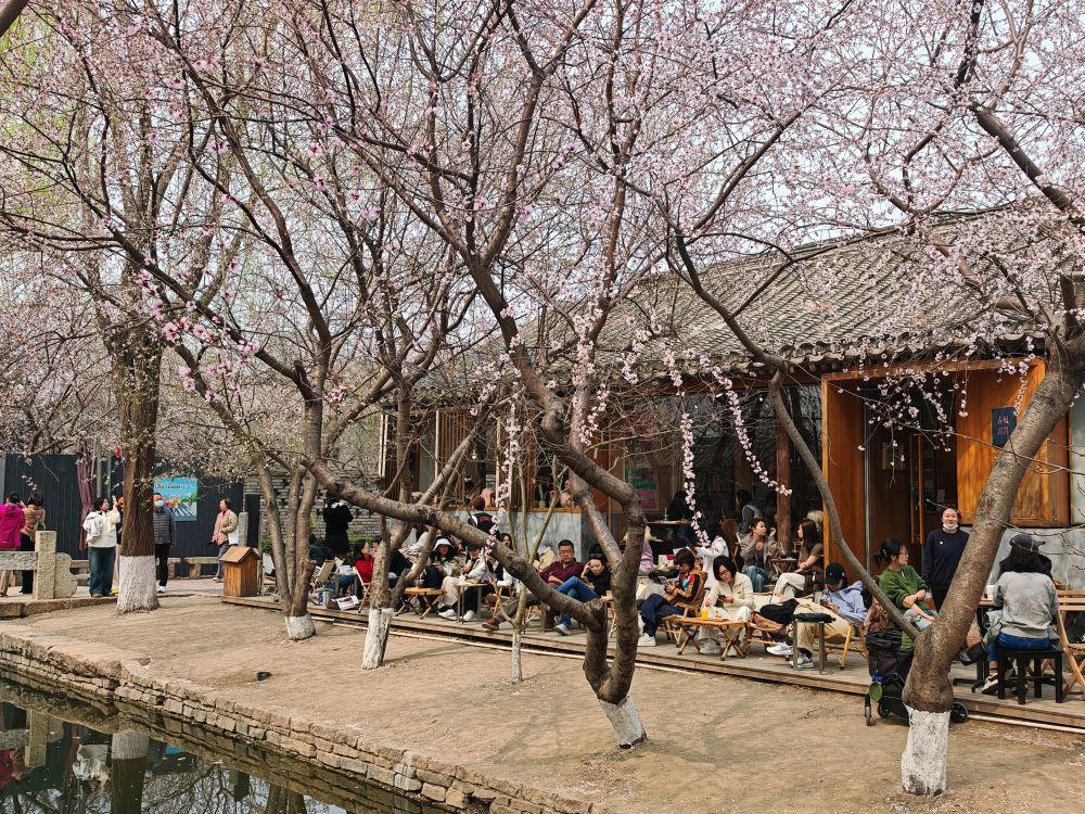 习近平总书记关切事｜让人民宜居安居(图7)