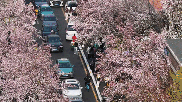 “春日经济”多点开花 市场潜力持续释放(图2)